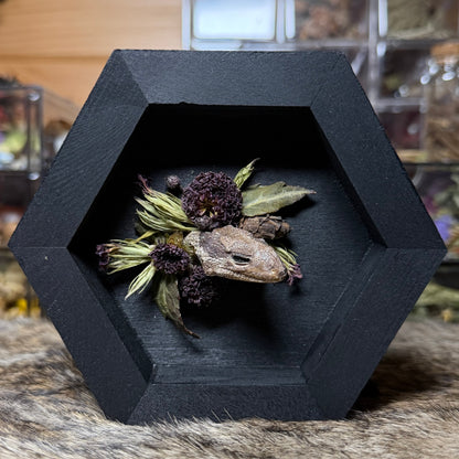 lizard head wood hex plaque