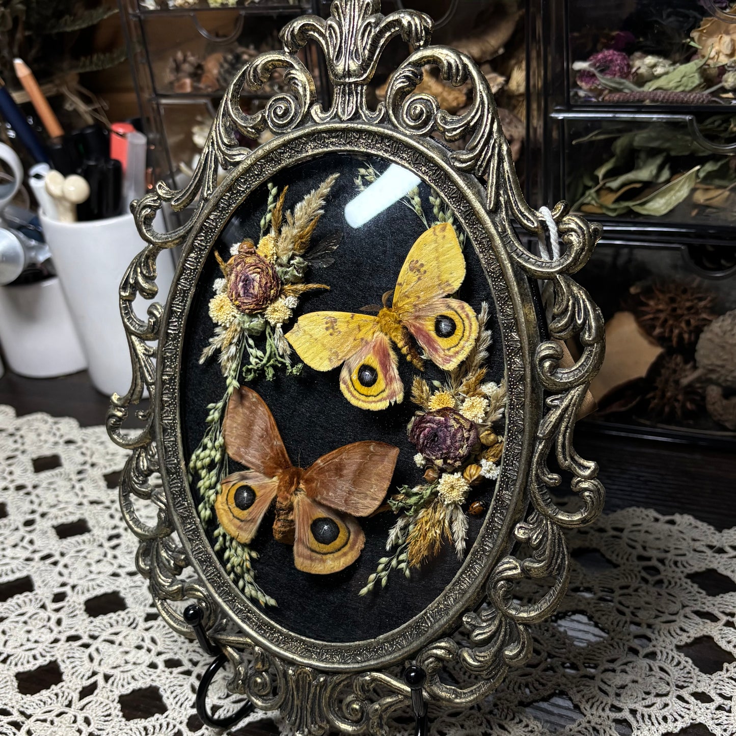 pair of io moths vintage frame