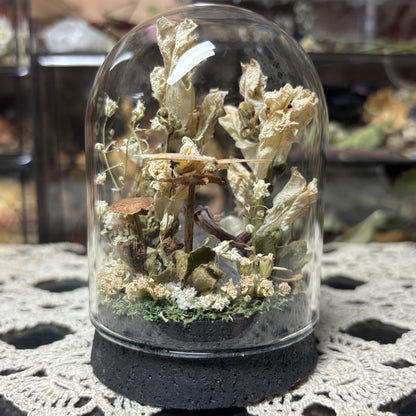 baby crested gecko dome shrine