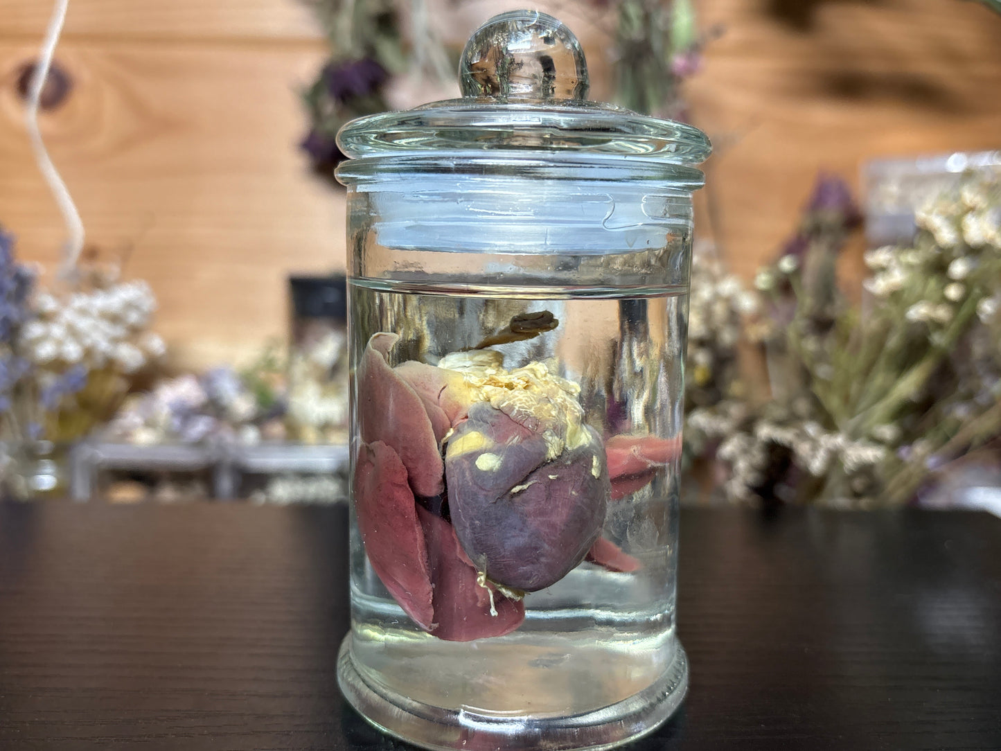 heart & lung sets wet specimens