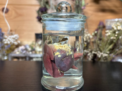 heart & lung sets wet specimens