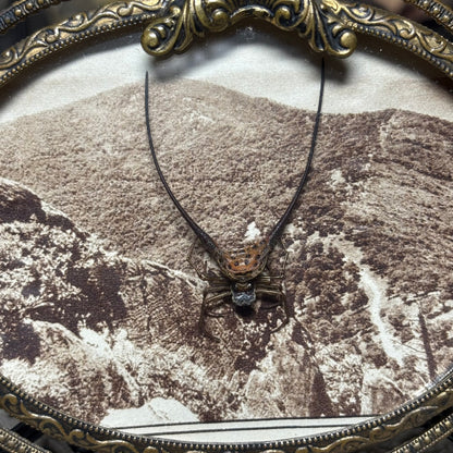 wishbone orb weaver vintage frame