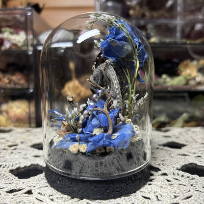 baby chameleon dome shrine