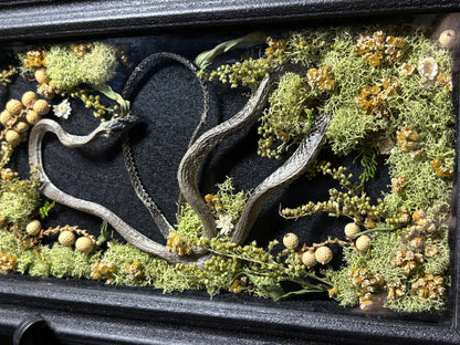 rough green snake shrine frame