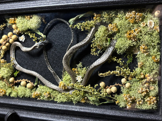 rough green snake shrine frame