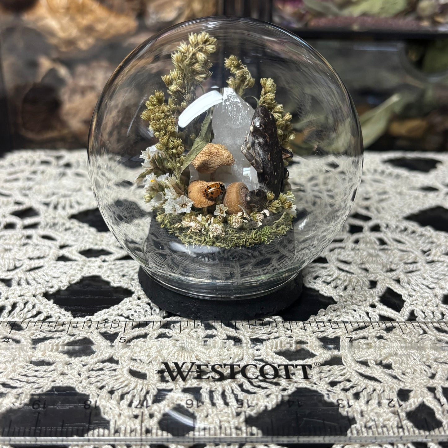 fire-bellied toad globe shrine