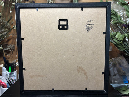 framed coyote uterus