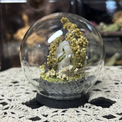 fire-bellied toad globe shrine