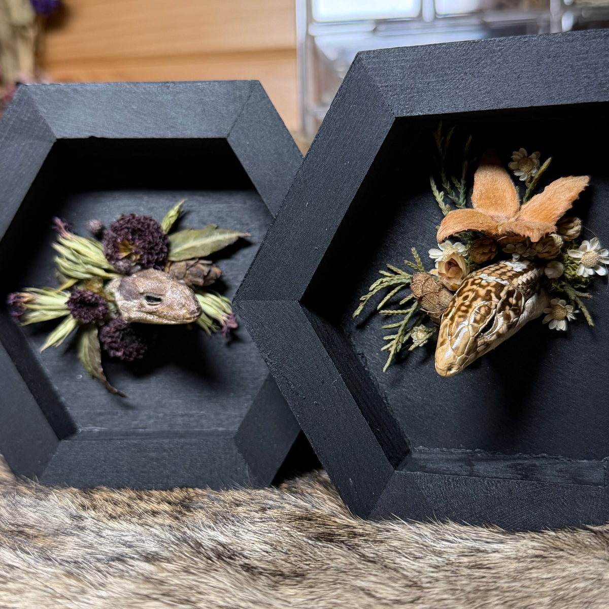 lizard head wood hex plaque