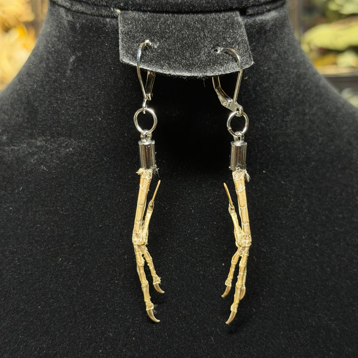 house sparrow feet earrings