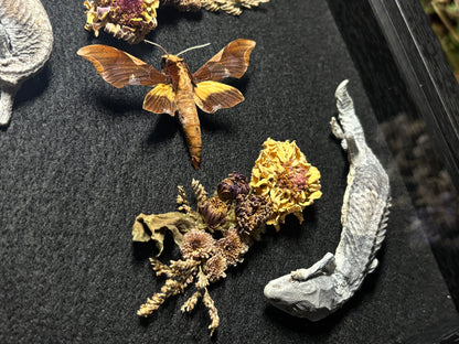 fat tail gecko pair & moth shrine frame