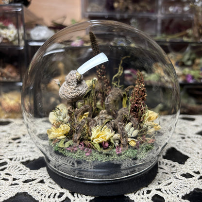 baboon tarantula globe shrine