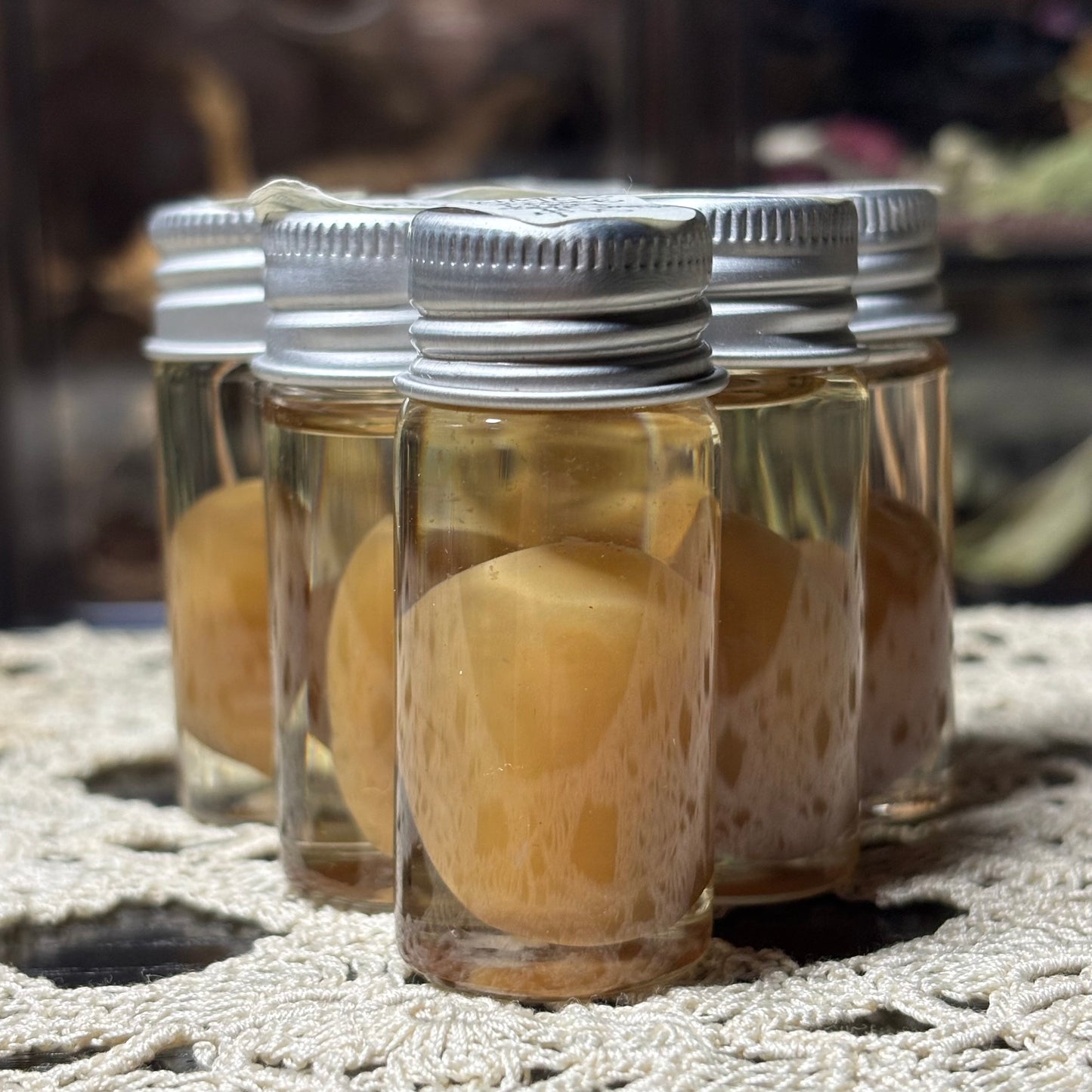 water snake egg wet specimen