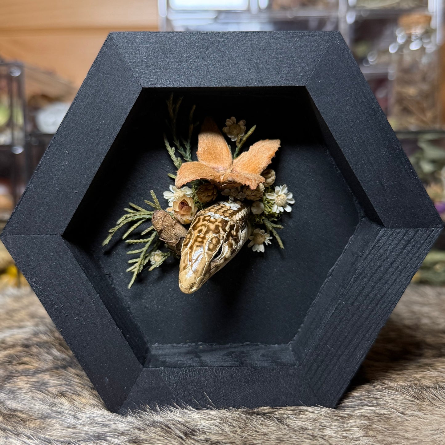 lizard head wood hex plaque