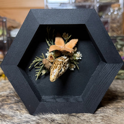 lizard head wood hex plaque