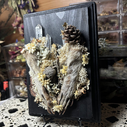 raccoon feet wood plaque