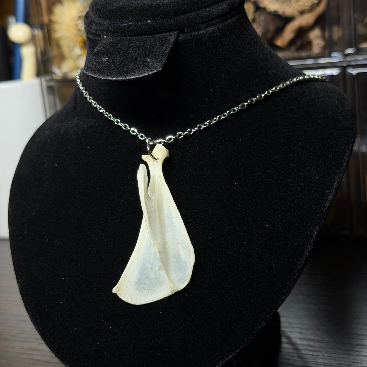 assorted bone necklaces
