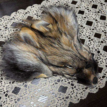 tanned face pelts & parts