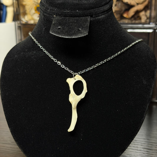 assorted bone necklaces