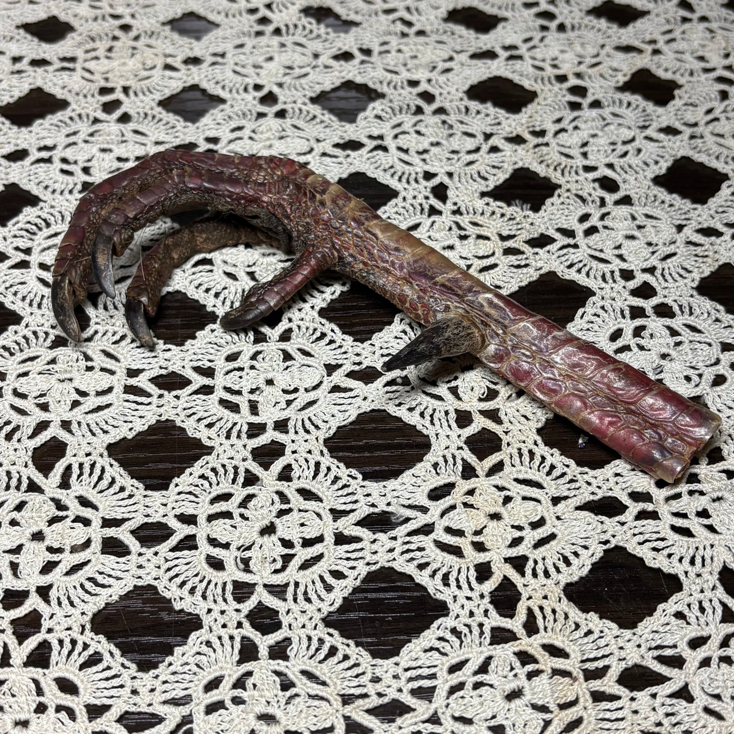dried turkey foot