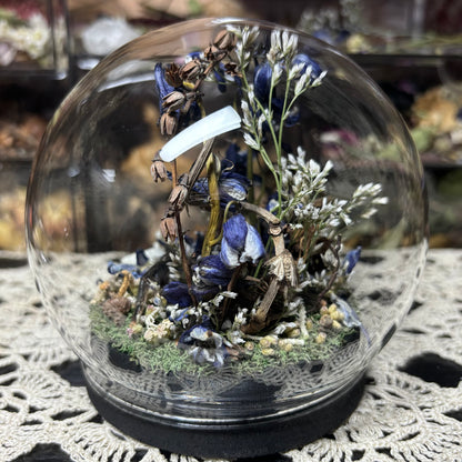 greenbottle blue tarantula globe shrine