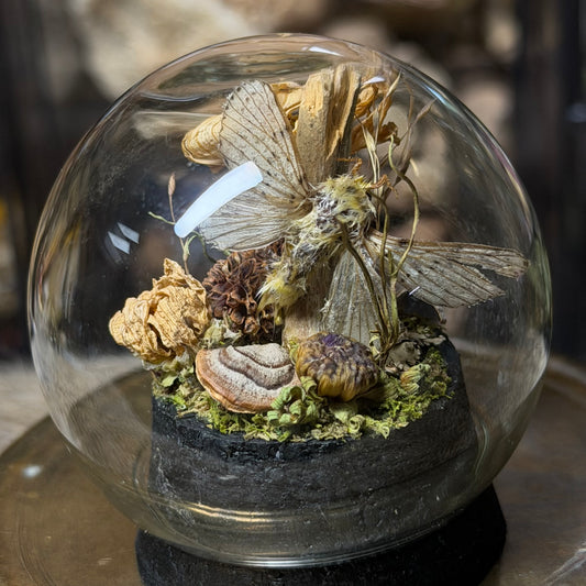 pale moth globe cloche