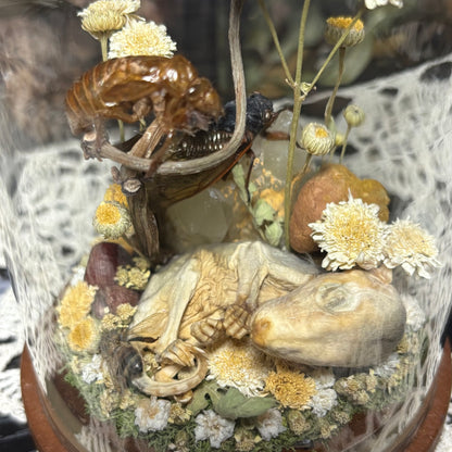 opossum joey dome shrine
