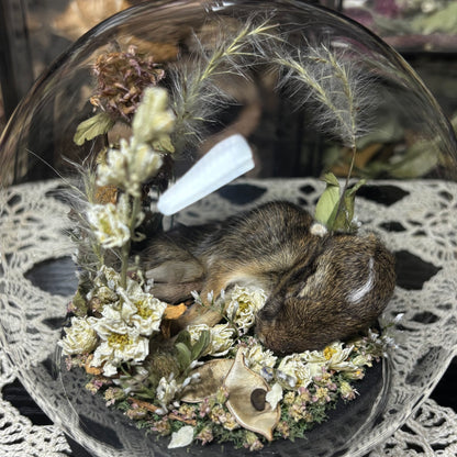 baby cottontail rabbit globe shrine