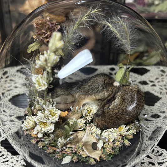baby cottontail rabbit globe shrine