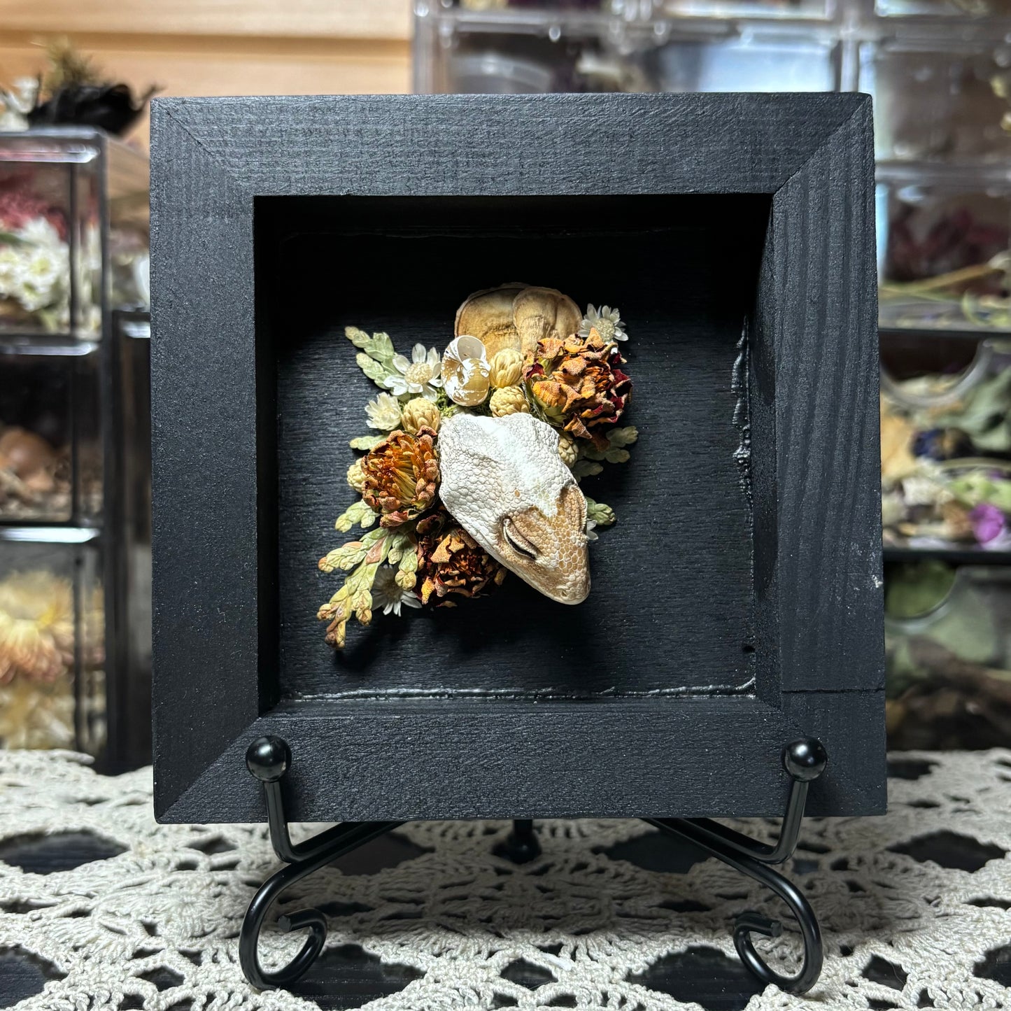 gecko head wood square plaque