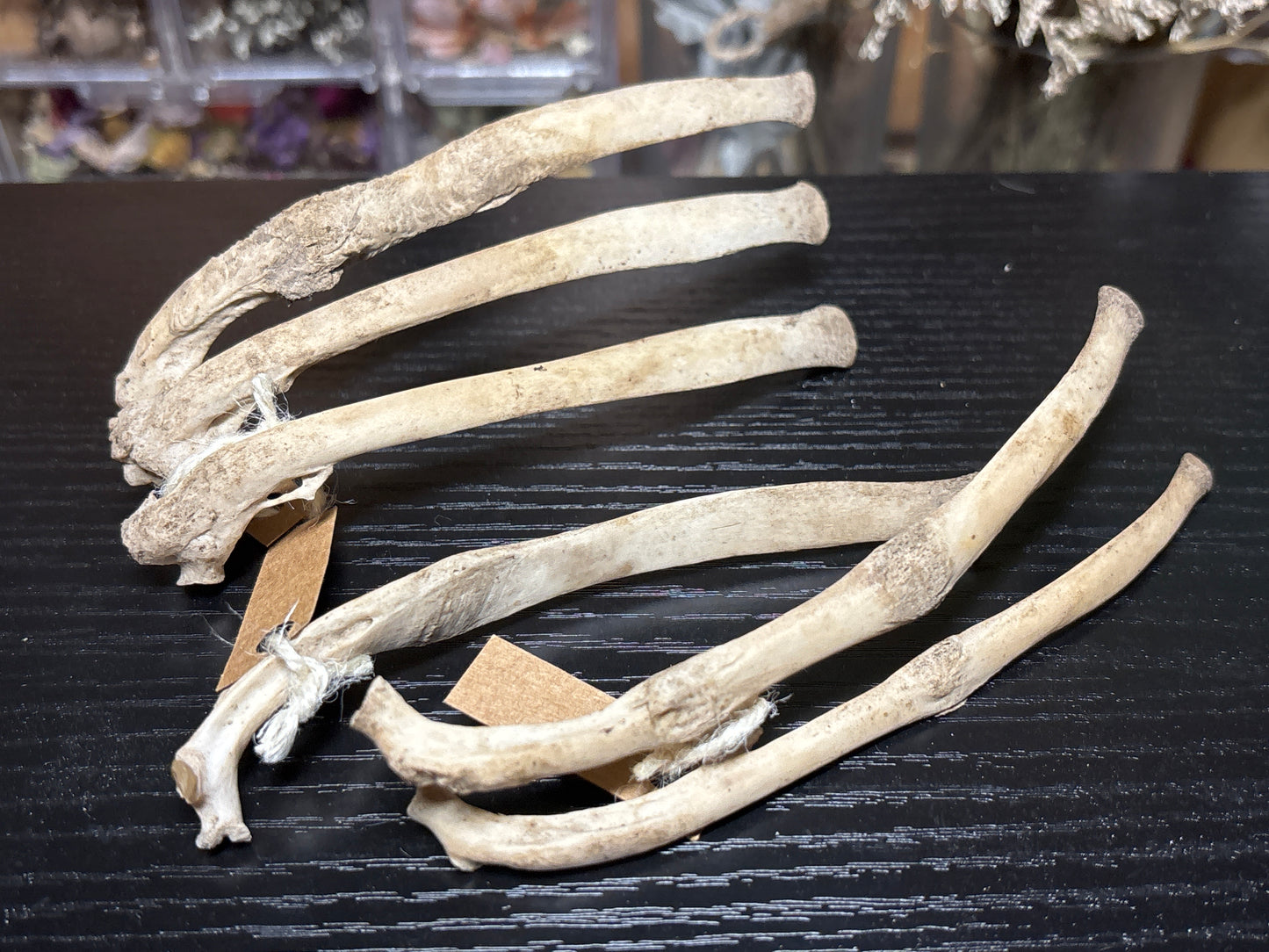 pathological nature cleaned baby goat ribs