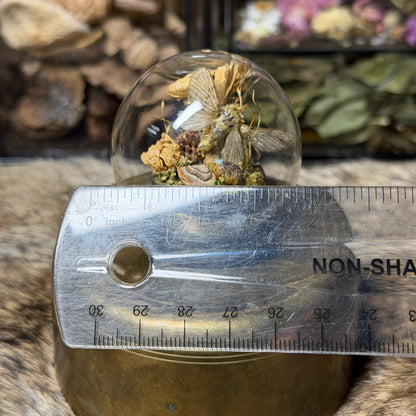 pale moth globe cloche