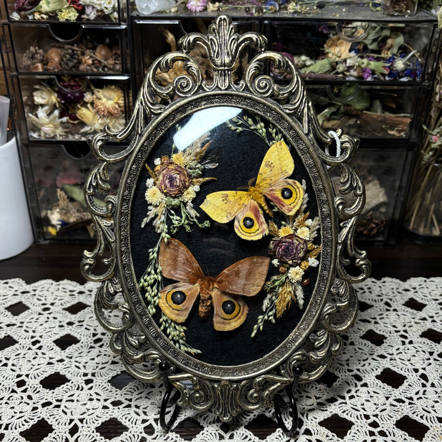 pair of io moths vintage frame