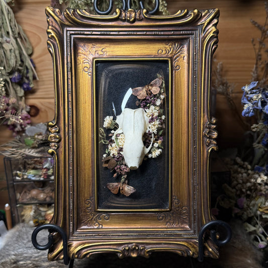 skunk skull vintage frame