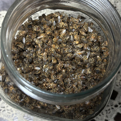 half cup dried honey bees