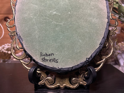 tanned muskrat face & promethea moths ornate frame