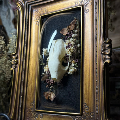 skunk skull vintage frame