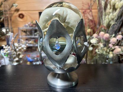 stillborn deformed ball python in globe wet specimen