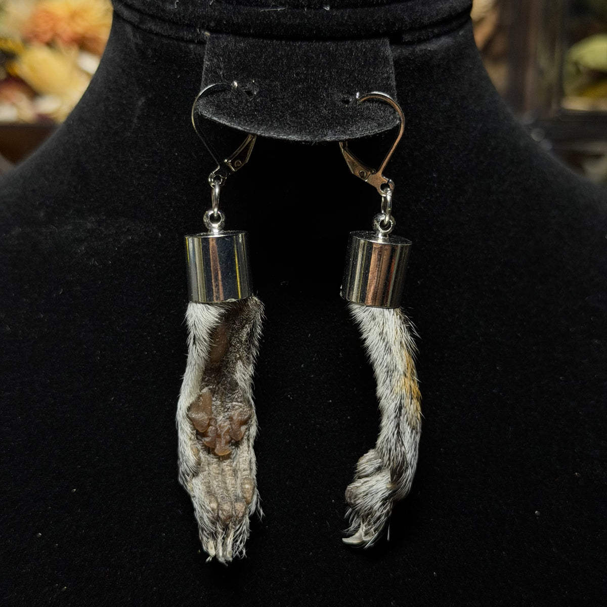 gray squirrel feet earrings