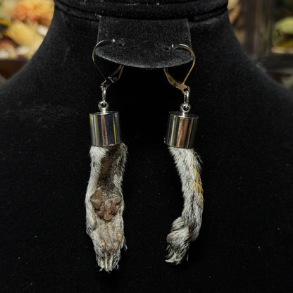 gray squirrel feet earrings