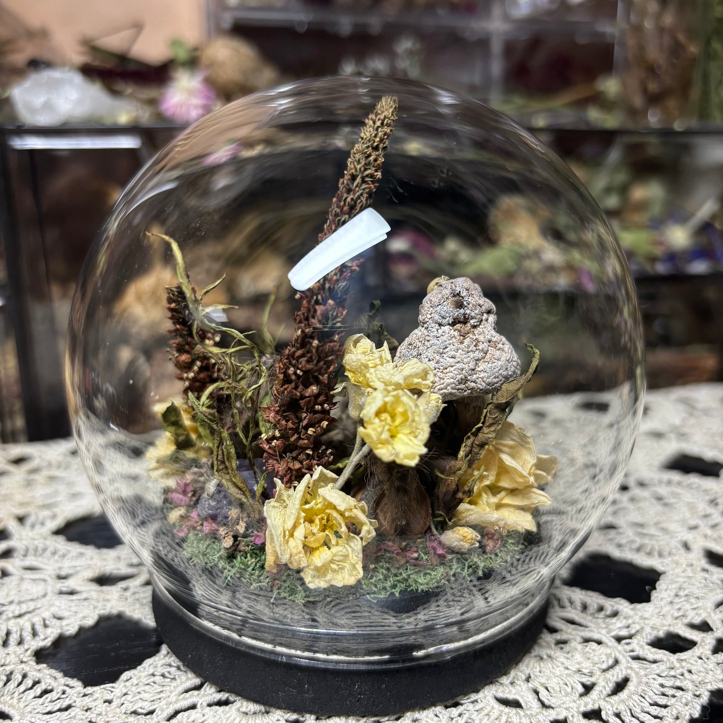 baboon tarantula globe shrine