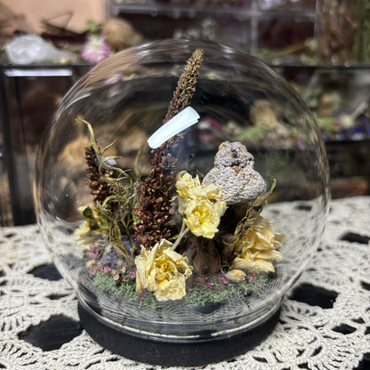 baboon tarantula globe shrine