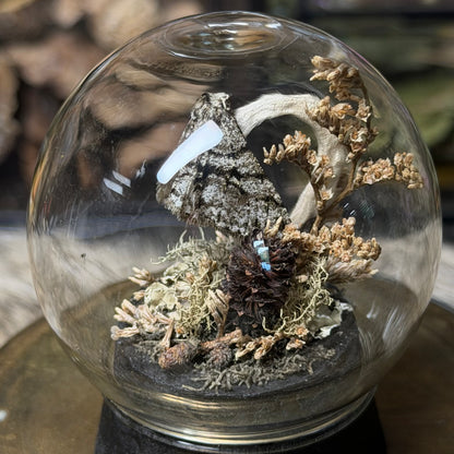 mummified opossum joey tail globe cloche