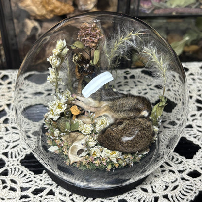baby cottontail rabbit globe shrine