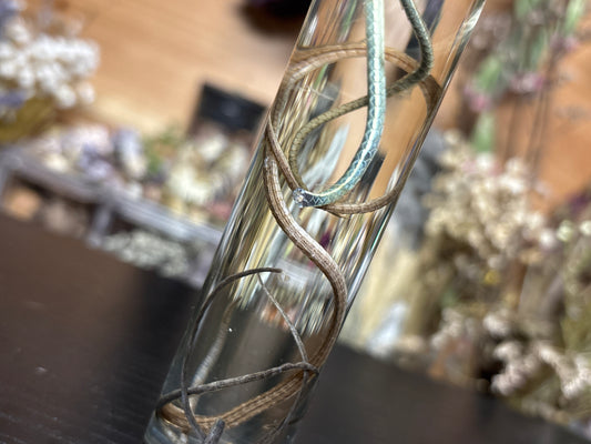 reptile tail collection wet specimen