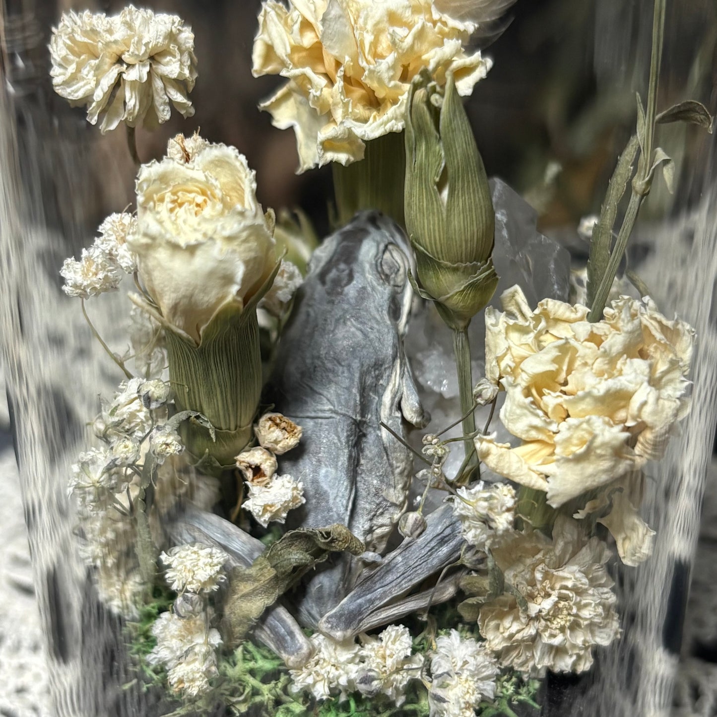 tree frog dome shrine