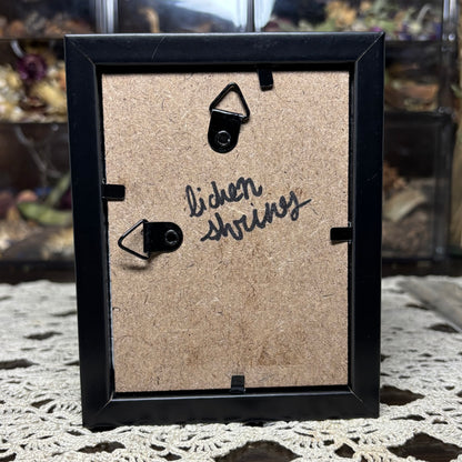 mouse & moths frame