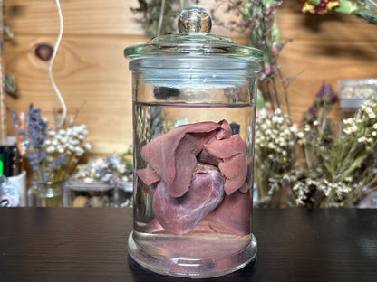 heart & lung sets wet specimens