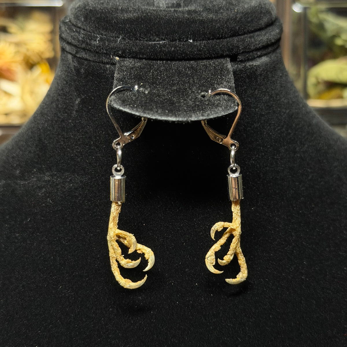 parakeet feet earrings