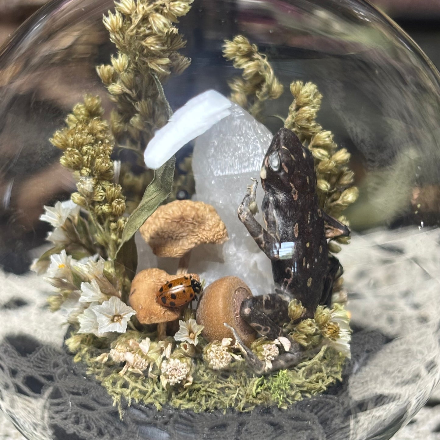 fire-bellied toad globe shrine